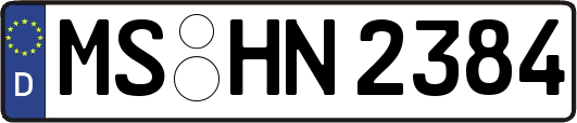 MS-HN2384