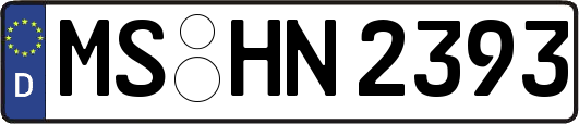 MS-HN2393