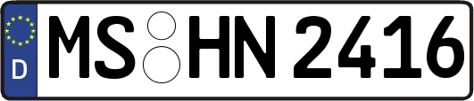 MS-HN2416