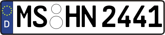 MS-HN2441