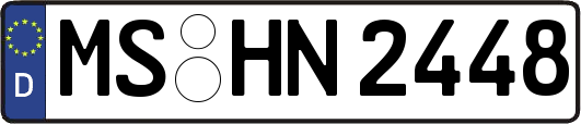 MS-HN2448