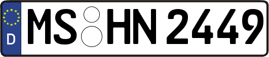MS-HN2449