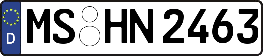 MS-HN2463