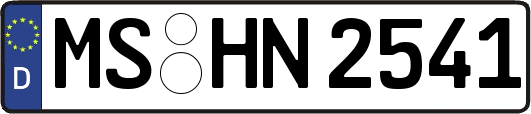 MS-HN2541