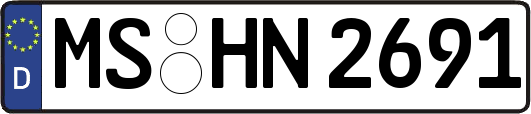 MS-HN2691