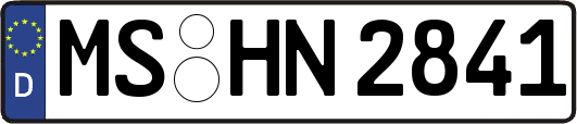 MS-HN2841