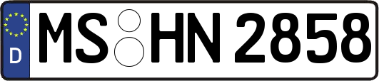 MS-HN2858