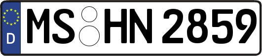 MS-HN2859
