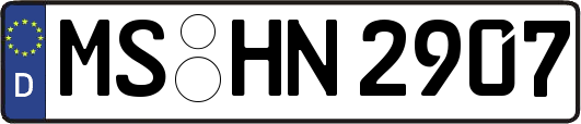 MS-HN2907