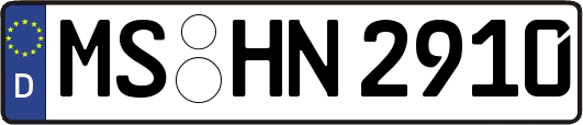 MS-HN2910