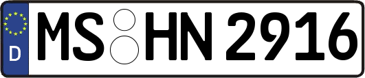 MS-HN2916