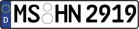 MS-HN2919
