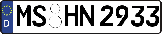 MS-HN2933