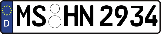 MS-HN2934