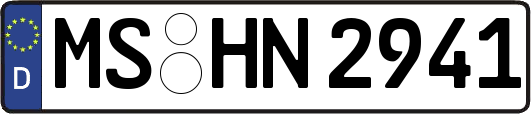 MS-HN2941