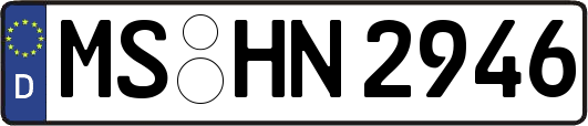 MS-HN2946