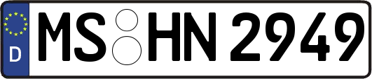 MS-HN2949