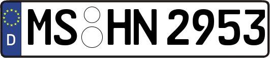 MS-HN2953