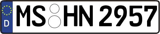 MS-HN2957