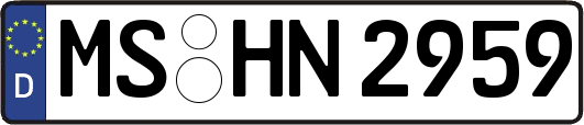MS-HN2959