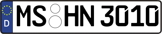 MS-HN3010