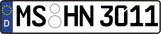 MS-HN3011