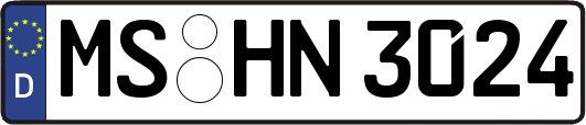 MS-HN3024