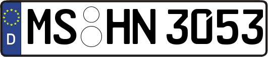 MS-HN3053