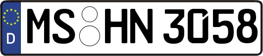 MS-HN3058