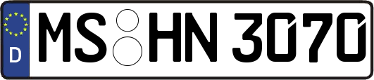 MS-HN3070