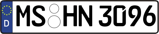 MS-HN3096