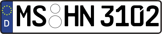 MS-HN3102