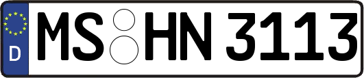 MS-HN3113