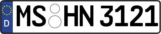 MS-HN3121