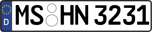 MS-HN3231
