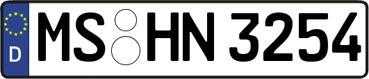 MS-HN3254