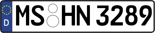 MS-HN3289