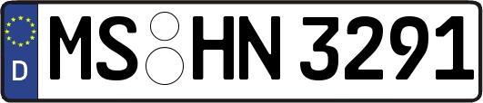 MS-HN3291