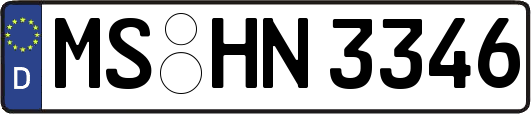 MS-HN3346
