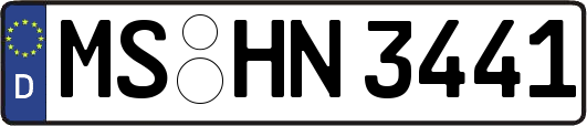MS-HN3441