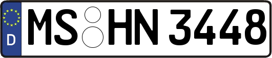 MS-HN3448