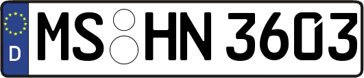 MS-HN3603