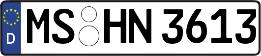 MS-HN3613