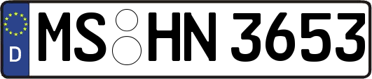 MS-HN3653