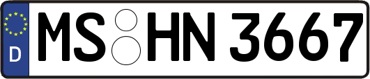 MS-HN3667