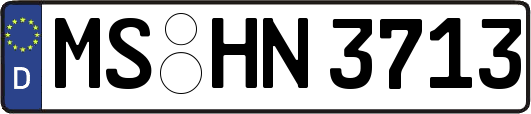 MS-HN3713