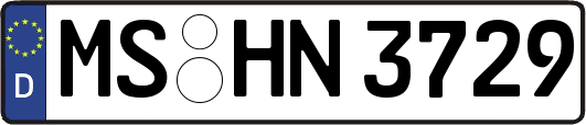 MS-HN3729