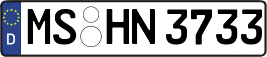 MS-HN3733