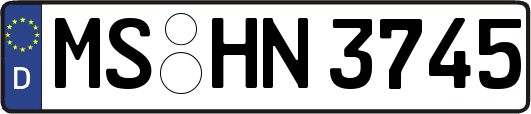 MS-HN3745