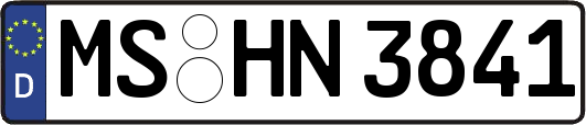 MS-HN3841